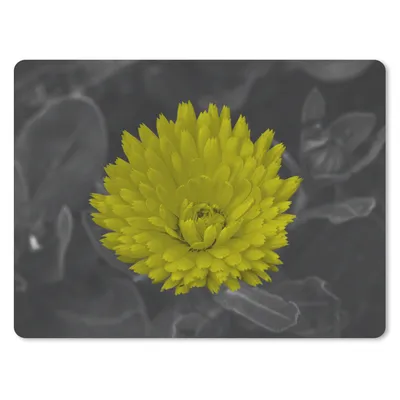 Produktbild von MuchoWow® Mauspad Mousepad Blumen - Aquarell - Löwenzahn 40x30 cm - Mousepads - Maus Mat - Pad - Mausunterlage - Anti Rutsch