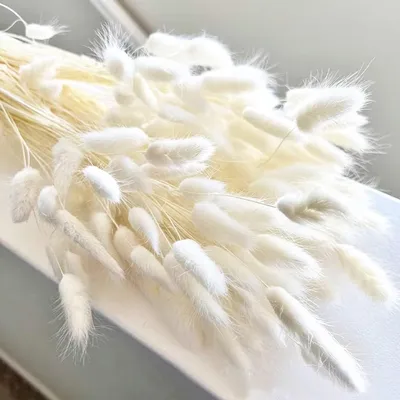 Obrázek produktu pro 120 kusů sušeného bílého pampasového trávy, 43 cm, květinová dekorace pro svatby ve stylu boho a bytovou výzdobu