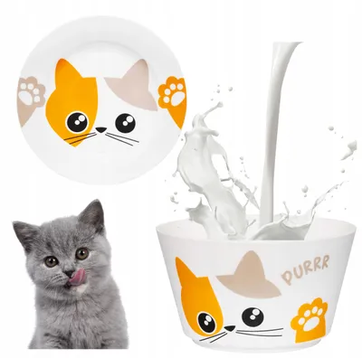 Produktbild von Ambition Kinder Frühstücksset mit Katzendesign Porzellan