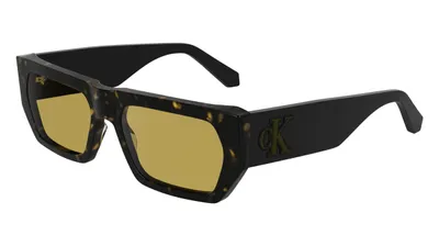Image de CALVIN KLEIN JEANS CKJ24625S 242 DARK HAVANA : Lunettes de soleil unies