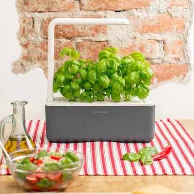 Obrázek produktu pro Click & Grow Click & Grow THE SMART GARDEN 3 domácí zahrada Grey