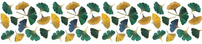 Produktbild von Sichtschutzfolie – Ginkgo-Herbstblätter XL – Aufkleber für Fenster und Duschtüren – 40 x 200 cm