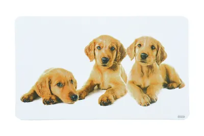 Image de Kesper 31216 Planche à déjeuner, mélamine, Puppies, multicolore