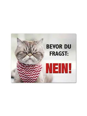 Produktbild von Nein, Magnet, Blech 8 x 10,6 cm, MN041