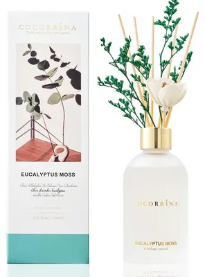 Raumduft-Diffuser Eukalyptus Mos 200 ml 8 Stäbchen