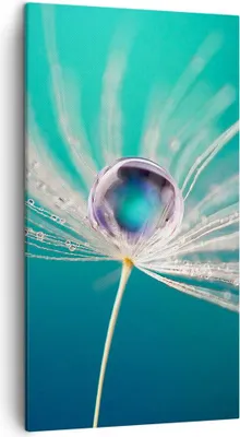 Produktbild von Bild auf Leinwand - Leinwandbild - Pflanze Natur - 45x80cm - Wand Bild - Wanddeko - Wandbilder - Leinwanddruck - Bilder - Kunstdruck - Wanddekoration - Leinwand bilder - Wandkunst - PA45x80-3991