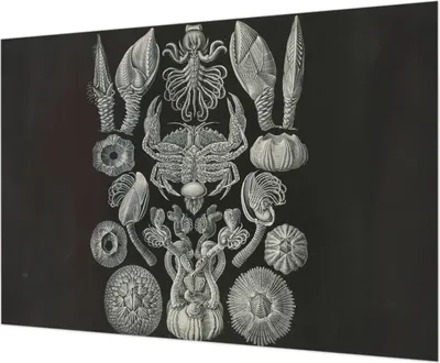Produktbild von Selbstklebende Wandtapete - Dekorative Tapete für Wohnzimmer - Klebefolie für Wandbilder - Tapetenfolie für Wanddekoration - 208x146 cm - Unterwasserformen