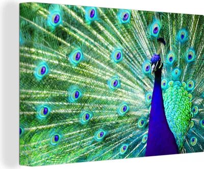 Produktbild von OneMillionCanvasses® - Leinwandbilder - 140x90 cm, Pfau - Federn - Nahaufnahme, Wandbilder Kunstdruck Wanddekoration