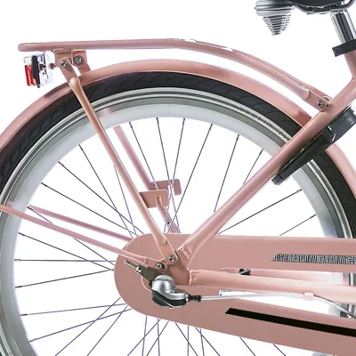 Immagine prodotto di Portapacchi posteriore Alpina 24 Clubb Desert Pink Matt