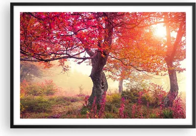 Produktbild von Gerahmtes Poster - Schwarzer Rahmen - Baum Natur Wiese - 91,5x61 cm - Wand Bild - Wanddeko - Wandbilder - Kunstposter - Wandposter - Bilderrahmen - Bilder - Kunstdruck - Wandbild - P2BAA91x61-3658