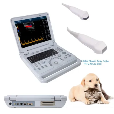 Produktbild von Tragbares Farbdoppler-Ultraschallgerät für die Veterinärmedizin Ultraschallscanner Mikrokonvexe und Phased-Array-Sonde