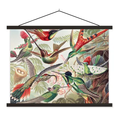 Produktbild von MuchoWow® Textilposter Kolibri - Vintage - Ernst Haeckel - Vogel - Kunst - Natur 40x30 cm mit schwarzem Rahmen - Dekorationen