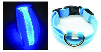 Obrázok produktu pre PARENCE Svietiaci obojok pre psov, veľkosť M, 3 režimy svietenia, 47 cm, modrý
