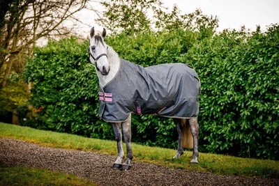 Zdjęcie produktu dla Horseware Ireland Outdoordecke 0g Amigo® Hero Ripstop Lite Regendecke Shadow/Rose & Navy 145 (6'6)