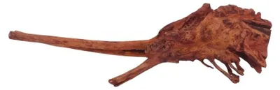 Produktbild von M Jungle Wood Wurzel Nr.4445 Holz Deko Aquascaping