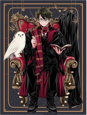 Harry Potter: Wizard Dynasty - bedruckt, Stuhl PM8720 (40 cm x 30 mm) (Bunt)