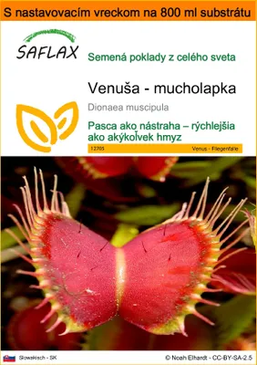Obrázok produktu pre SAFLAX Garden in the bag - Venuša - mucholapka - Dionaea muscipula - 10 Semená - S pestovateľským substrátom v praktickom samostaviteľnom vrecku