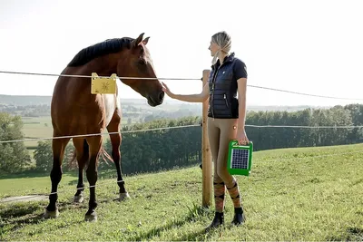 Produktbild von Kerbl Weidezaungerät TITAN S 400 Solar-Zaungerät, für Pferde / Ponys