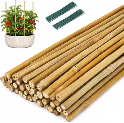 Imagen del producto de Varillas de bambú para plantas, 40 cm, paquete de 40 unidades, soporte natural para plantas para jardín