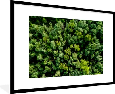 Produktbild von MuchoWow® MuchoWow® Gerahmtes Poster Baum - Wald - Grün 90x60 cm - Poster mit zchwarzem Bilderrahmen - Wanddekoration - Fotos