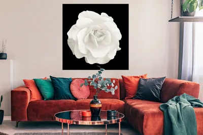 Produktbild von MuchoWow® Poster Rosa - Schwarz - Weiß 100x100 cm - Babyzimmer