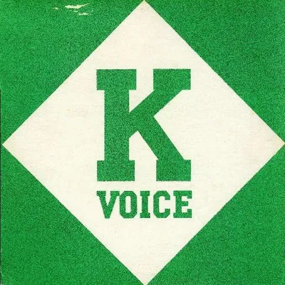 Immagine prodotto di K-Voice