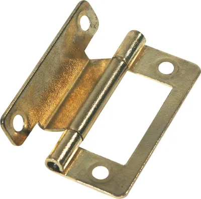 Image de Charnières De Meuble Laitonnées X2