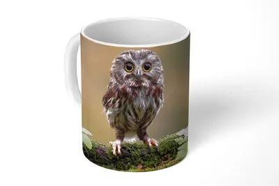 Obrázok produktu pre KitchenYeah® Hrnček na kávu Hrnček na kávu 350 ml Little Owl Teacup - foto hrnček - hrnček - keramický hrnček - hrnček na čaj - hrnček na kávu - kancelársky hrnček