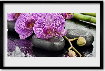 Produktbild von Bild 60x40 MDF-Rahmen Wandkunst Orchid Orchid Zen Spa