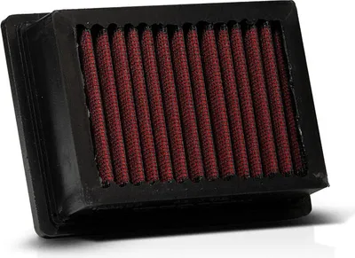 Produktbild von Malossi MHR Luftfilter mit Box