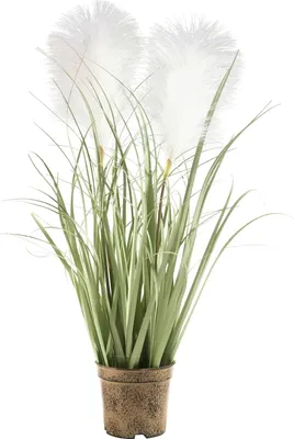 Produktbild von Kunstpflanze Grasbusch - Grün - Weiß - brauner Kunststofftopf - H 60 cm