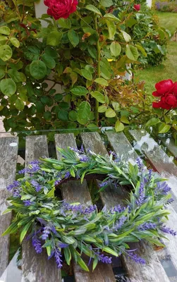 Produktbild von artplants.de Deko Lavendelkranz OSTERLIND, lila, Ø30cm - Künstlicher Lavendelkranz