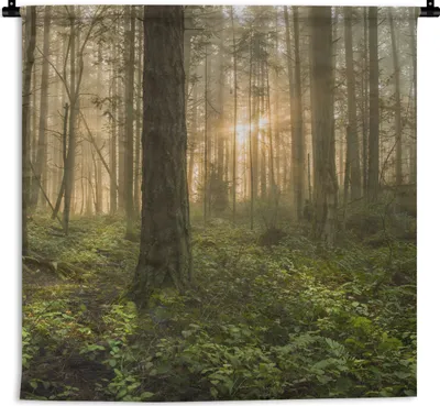 Produktbild von MuchoWow® Wandteppich Wandbehang Wald - Sonne - Licht 60x60 cm Tapisserie Dekoration Wandtuch - Dekorationen - Wand Decke
