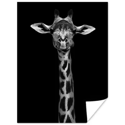 Produktbild von MuchoWow® Poster Giraffe - Tiere - Porträt - Schwarz 30x40 cm - Wandplakat - Poster Kinderzimmer