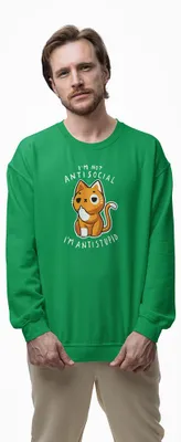 Produktbild von D&B Design Uni Pullover SWEB00032 Not Antisocial Grün-Größe L