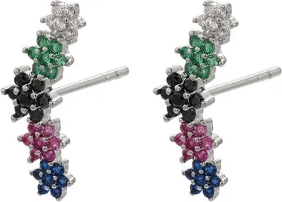 Image de Boucles d'oreilles FI-21704 Argenté Multicolore KP21704
