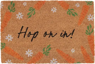 Image de Something Different - Paillasson "Hop On In" SD6626 (taille unique) (Naturel)