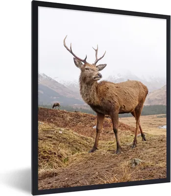 Produktbild von MuchoWow® Gerahmtes Poster Hirsche - Berge - Natur 60x80 cm - Poster mit Schwarzem Bilderrahmen Wandposter Rahmen Foto Bilder - Premium - Wanddeko Wohnzimmer