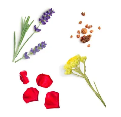 Image de Mélange Salubelle Beauty de Doterra, 10 ml d'huiles essentielles