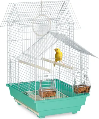 Immagine prodotto di Gabbia per uccelli Relaxdays, gabbia per piccoli canarini, posatoi e mangiatoie, 50 x 42,5 x 33,5 cm, azzurro/verde menta