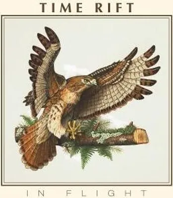 Produktbild von In Flight