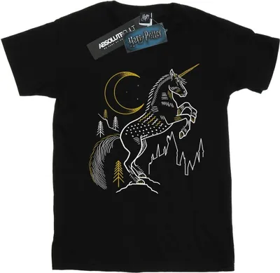 Produktbild von Harry Potter - T-Shirt für Herren BI29817 (M) (Schwarz)