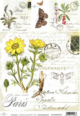 Immagine prodotto di Carta da decoupage SOFT ITD-S010 - A4 Blumen