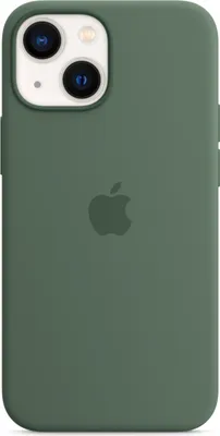 Immagine prodotto di Custodia Cover Case MagSafe in silicone per iPhone 13 mini - Eucalipto