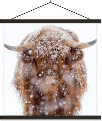 Produktbild von MuchoWow® Textilposter Schottisches Hochlandrind - Hörner - Schnee 40x40 cm mit schwarzem Rahmen - Fotos