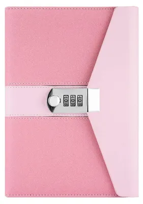 Produktbild von Notizbuch mit Schloss A5 Kunstleder Rosa Zahlenschloss 22 x 15 cm