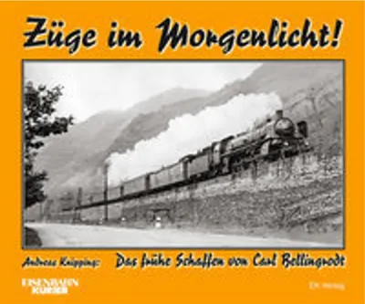 Obrázek produktu pro Züge im Morgenlicht