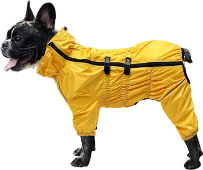 Wasserdichte Hunde-Regenjacken mit reflektierenden Streifen aus 100% Polyester, Hauptbild