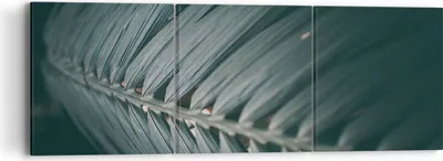 Produktbild von Bild auf Leinwand - Leinwandbild - 3 Teile - Blatt Palme exotisch - 90x30cm - Wand Bild - Wanddeko - Wandbilder - Leinwanddruck - Bilder - Wanddekoration - Leinwand bilder - Wandbild - CA90x30-4907