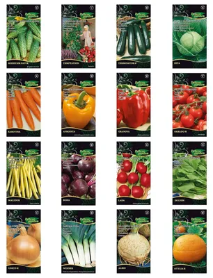 Image de Graines de légumes assortiment de 16 variétés - 16 sachets - Boîte à graines de légumes et de baies - Potager
